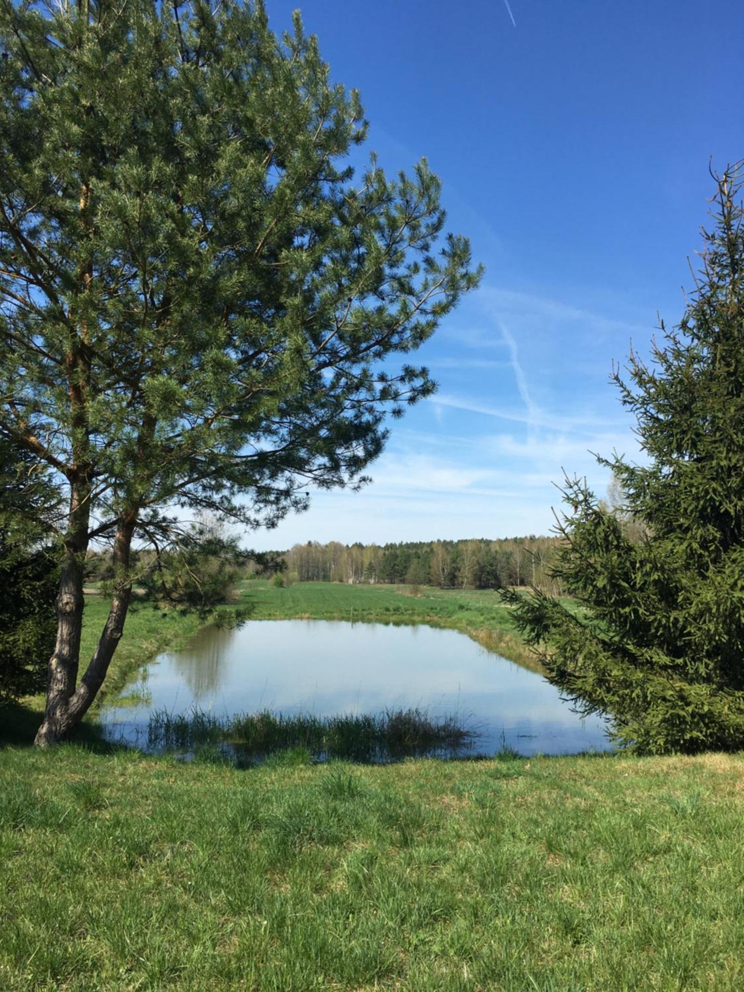 Lesne Zacisze Villa Augustów Dış mekan fotoğraf